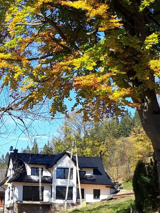 Apartamenty Plazowka Koscielisko Luaran gambar
